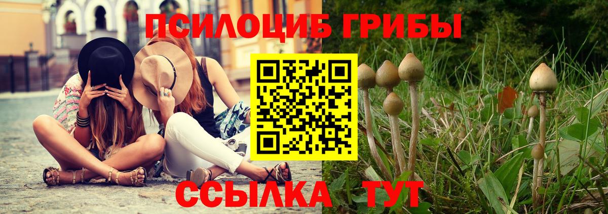 Галлюциногенные грибы Magic Shrooms  Псилоцибиновые грибы прущие грибы  Кисловодск  Вход с VPN 
